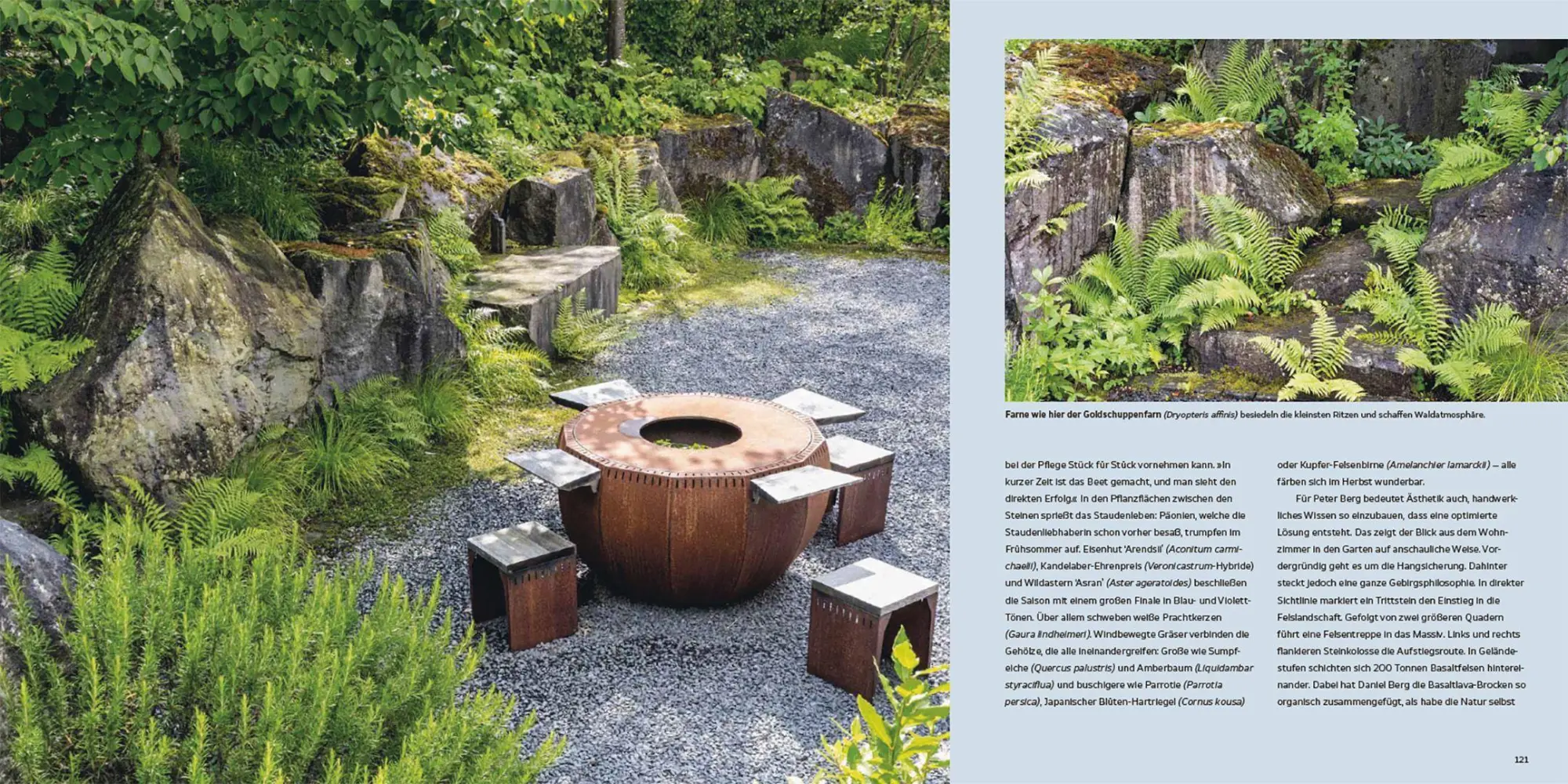 Bild: 9783258084497 | Natur, Ästhetik, Design | Peter Berg | Buch | 240 S. | Deutsch | 2026