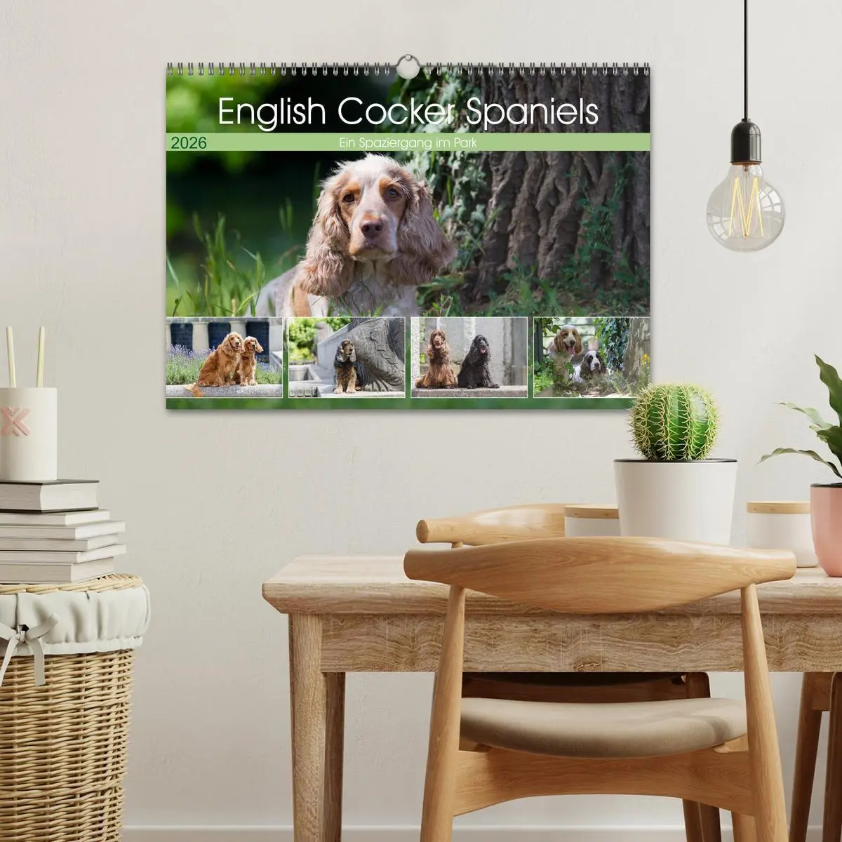 Bild: 9783457904497 | English Cocker Spaniels - Ein Spaziergang im Park (Wandkalender...