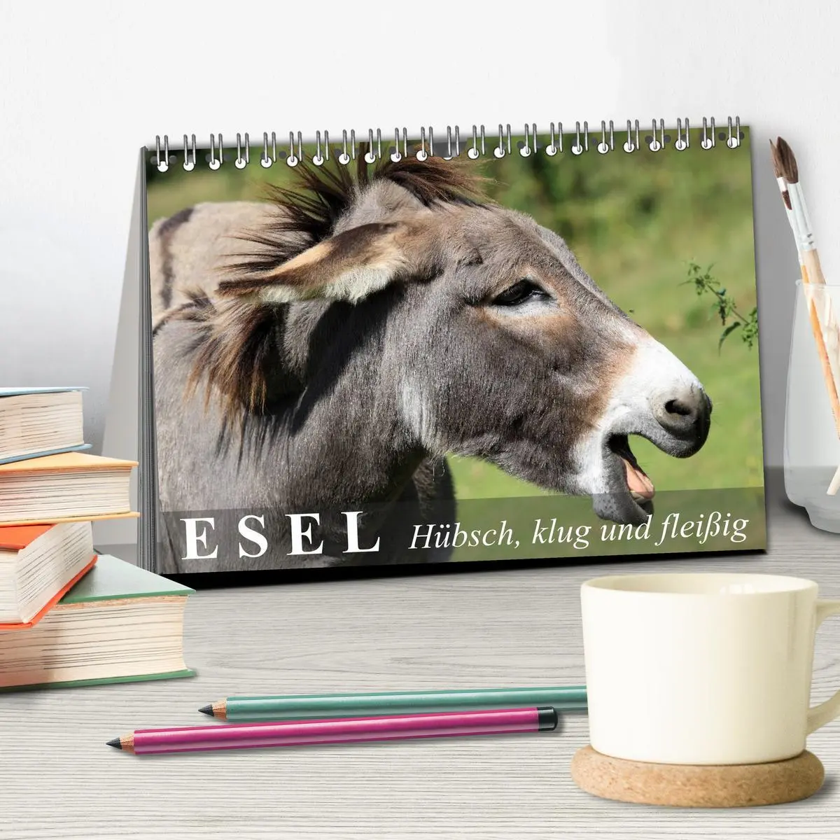 Bild: 9783516094497 | Esel - hübsch, klug und fleißig (Tischkalender 2026 DIN A5 quer),...