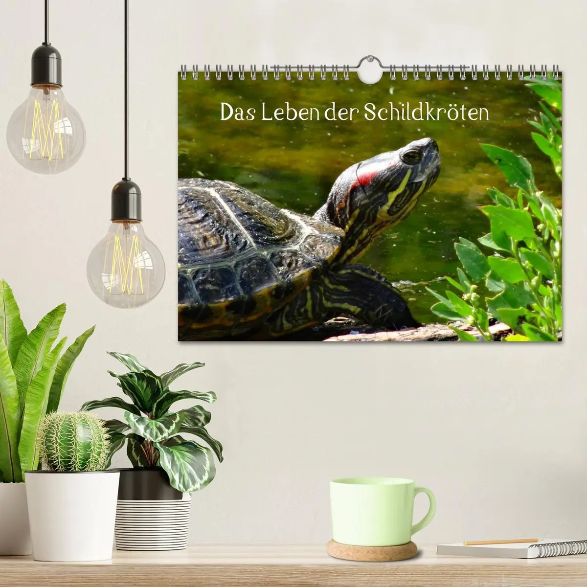 Bild: 9783516164497 | Das Leben der Schildkröten (Wandkalender 2026 DIN A4 quer),...