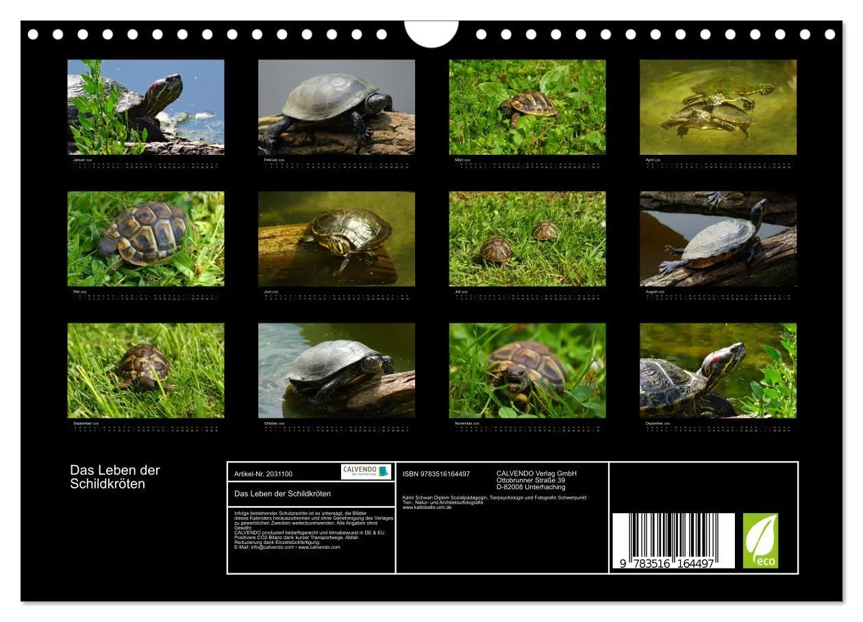 Bild: 9783516164497 | Das Leben der Schildkröten (Wandkalender 2026 DIN A4 quer),...