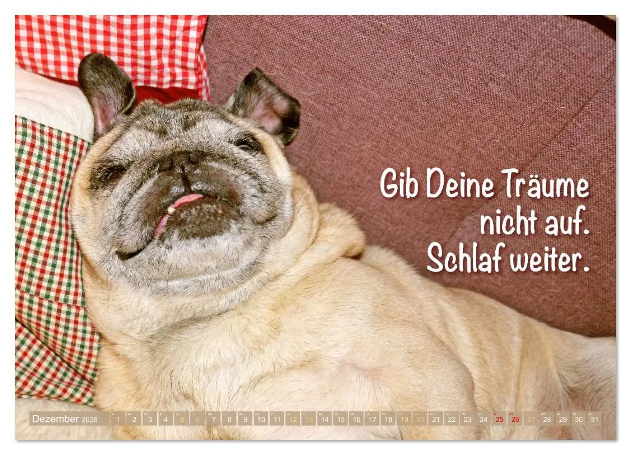 Bild: 9783516614497 | Lächeln mit Mops (Wandkalender 2026 DIN A4 quer), CALVENDO...
