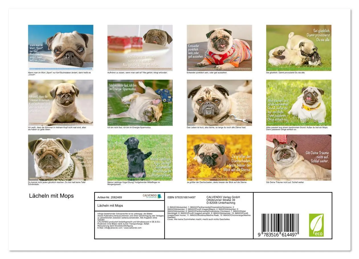 Bild: 9783516614497 | Lächeln mit Mops (Wandkalender 2026 DIN A4 quer), CALVENDO...