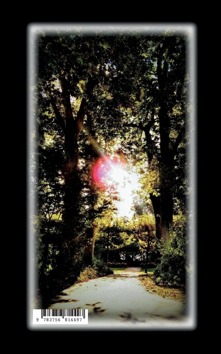 Rückseite: 9783756814497 | An der Pforte wirrer Worte | Lu. L. Jacks | Taschenbuch | Paperback