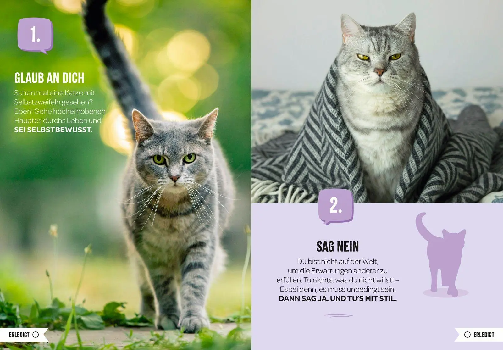 Bild: 9783848504497 | 100 Dinge, die man von einer Katze lernen kann | Groh Verlag | Buch