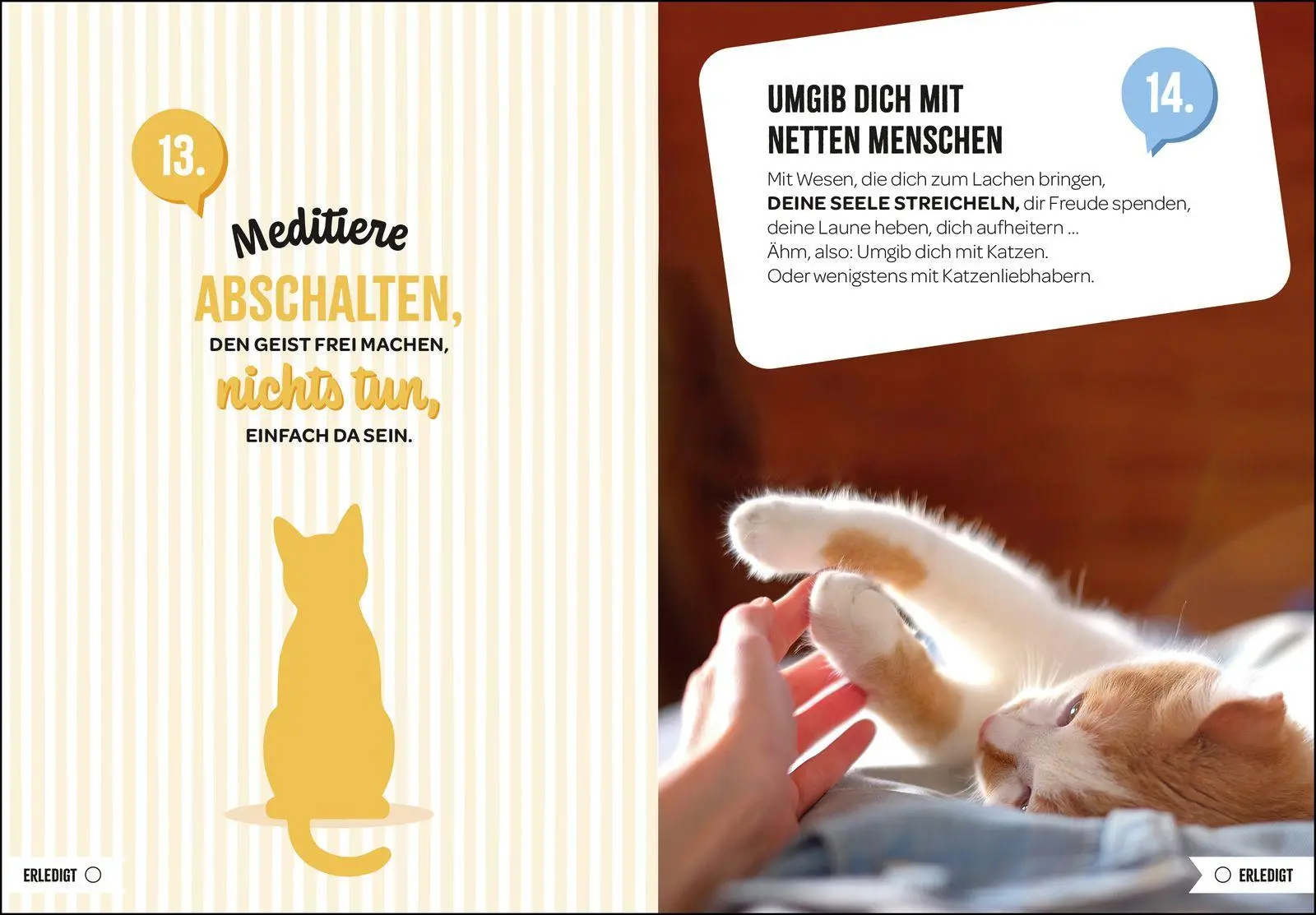 Bild: 9783848504497 | 100 Dinge, die man von einer Katze lernen kann | Groh Verlag | Buch