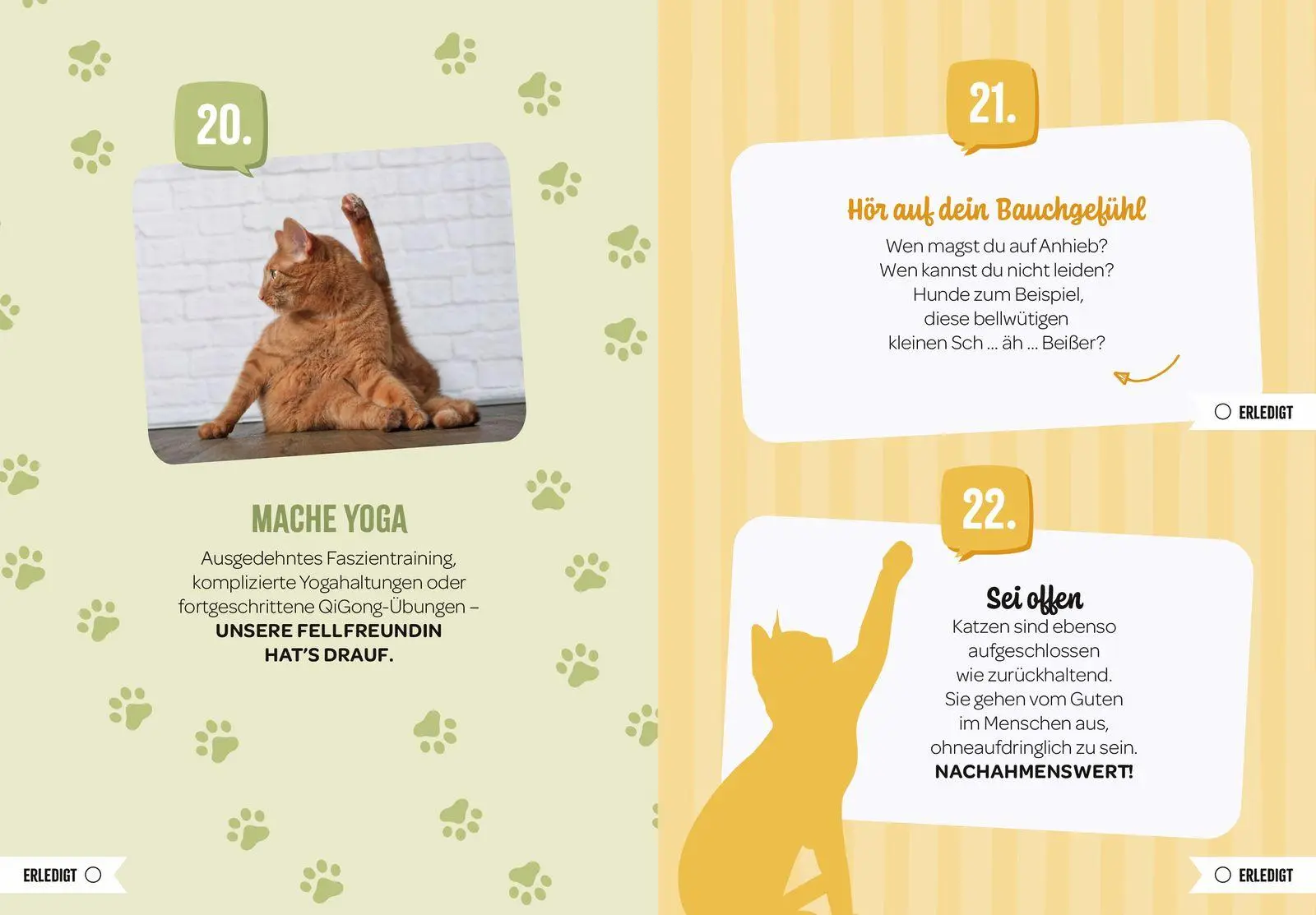 Bild: 9783848504497 | 100 Dinge, die man von einer Katze lernen kann | Groh Verlag | Buch