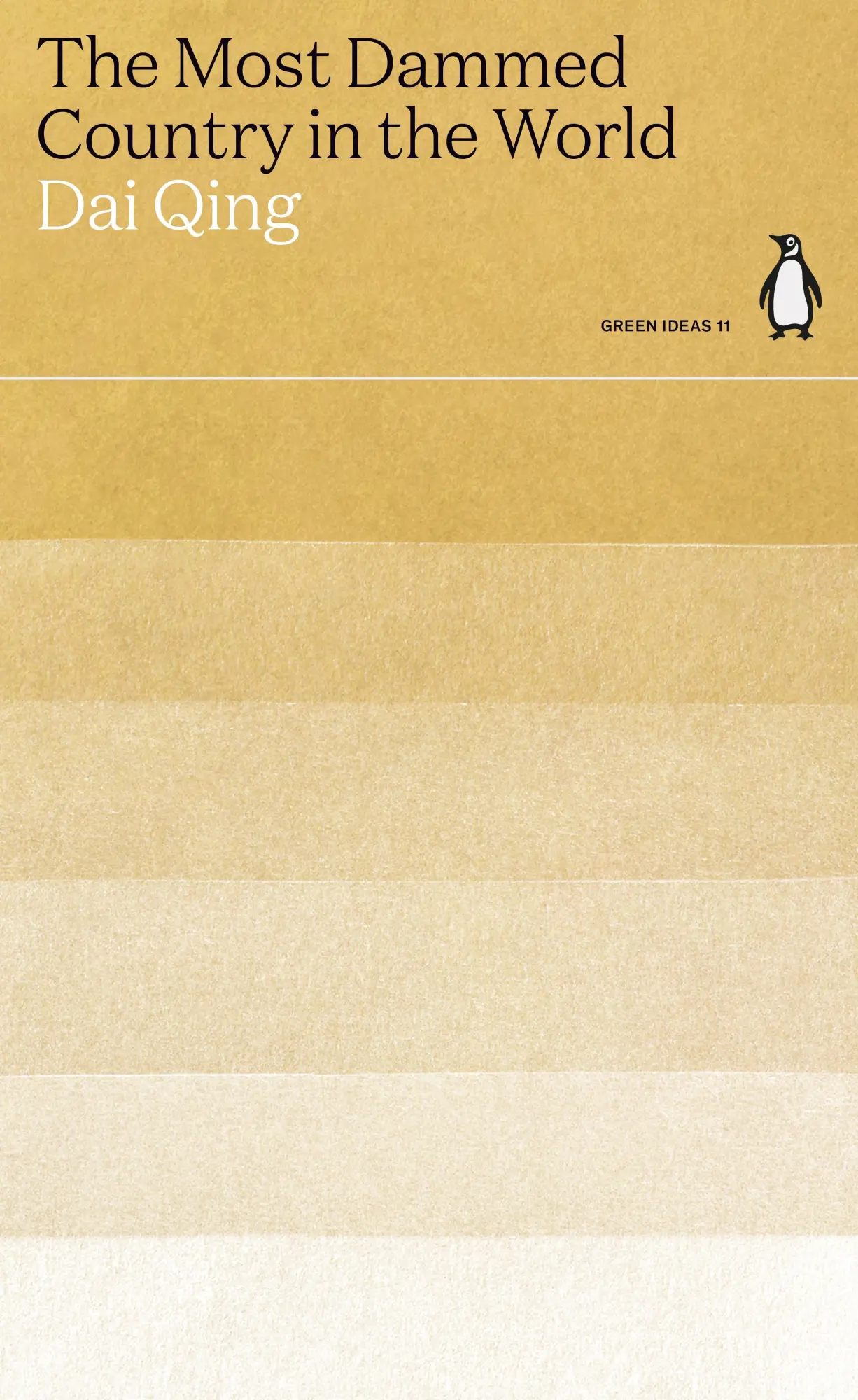 Cover: 9780241514597 | The Most Dammed Country in the World | Dai Qing | Taschenbuch | 96 S.
