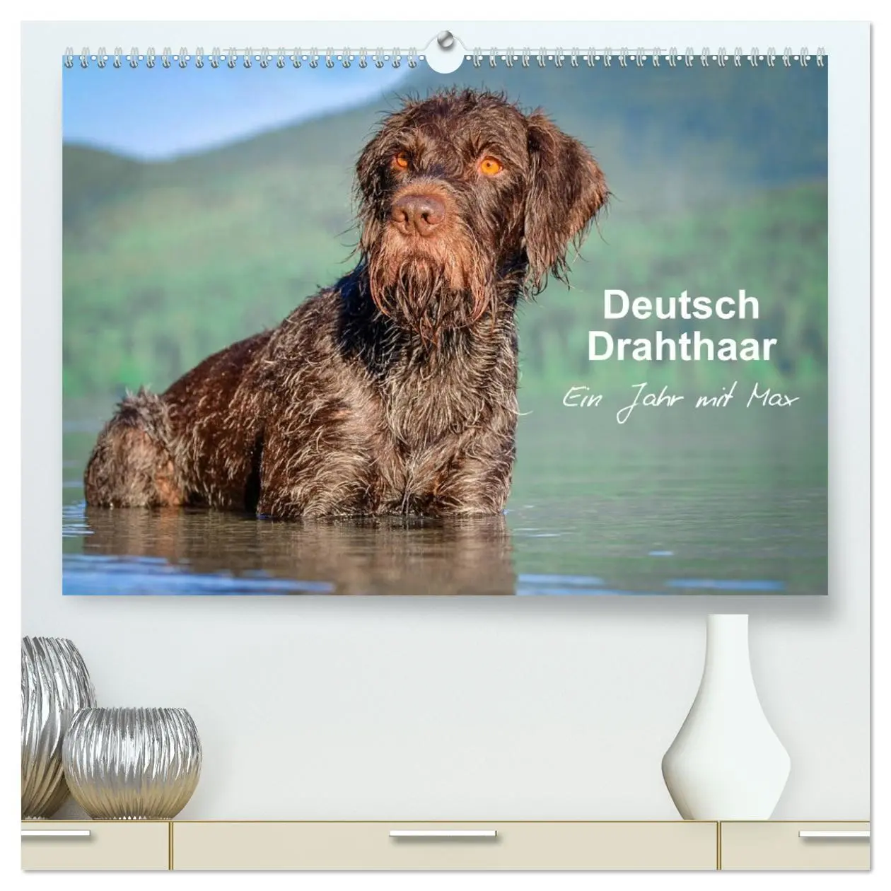 Cover: 9783457684597 | Deutsch Drahthaar - Ein Jahr mit Max (hochwertiger Premium...