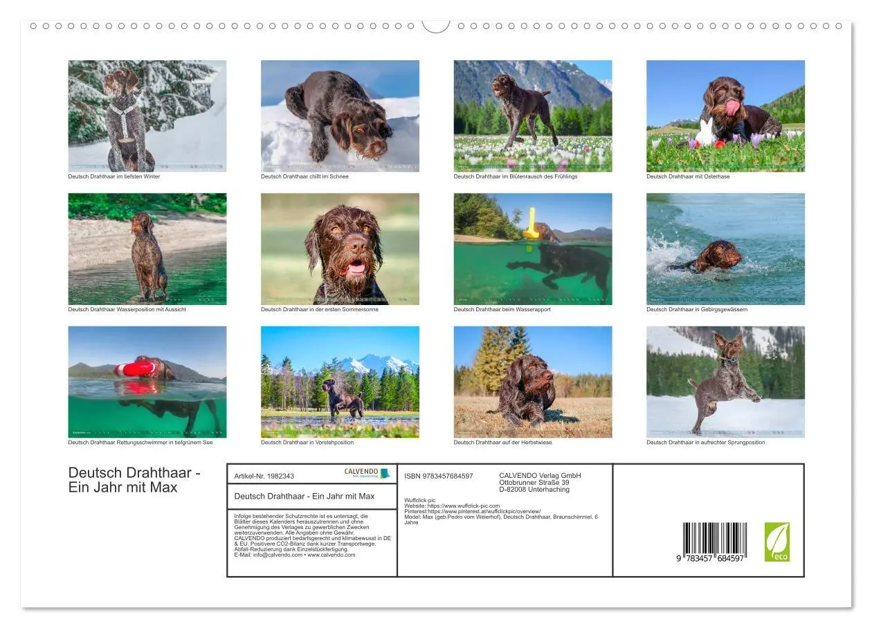Bild: 9783457684597 | Deutsch Drahthaar - Ein Jahr mit Max (hochwertiger Premium...
