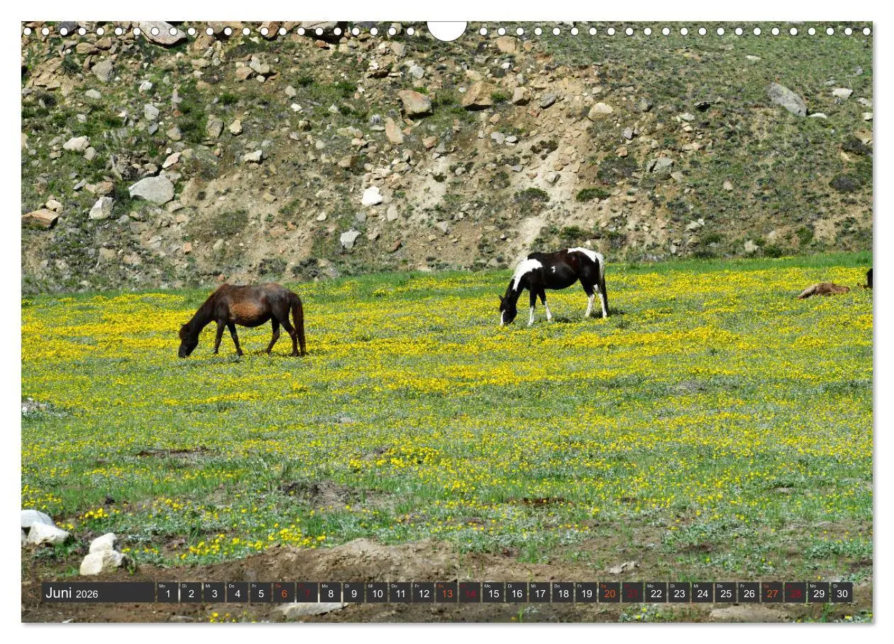 Bild: 9783457364697 | Ladakh - Zanskar (Wandkalender 2026 DIN A3 quer), CALVENDO...