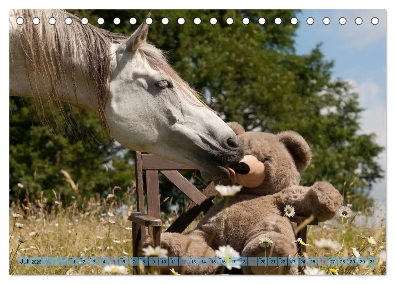 Bild: 9783457984697 | Lustiger Schimmel - ein Pferd mit Humor (Tischkalender 2026 DIN A5...