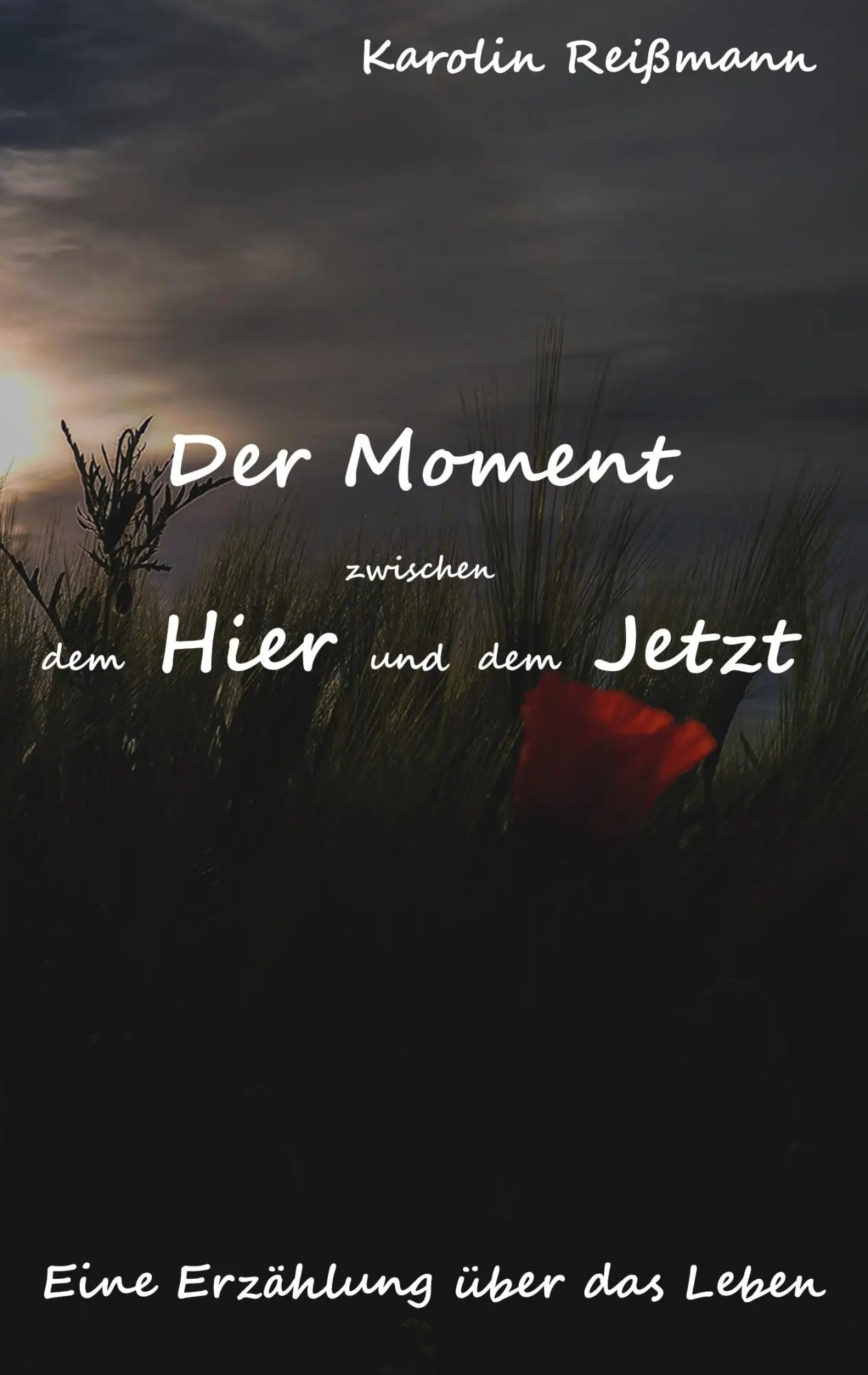 Cover: 9783743164697 | Der Moment zwischen dem Hier und dem Jetzt | Karolin Reißmann | Buch