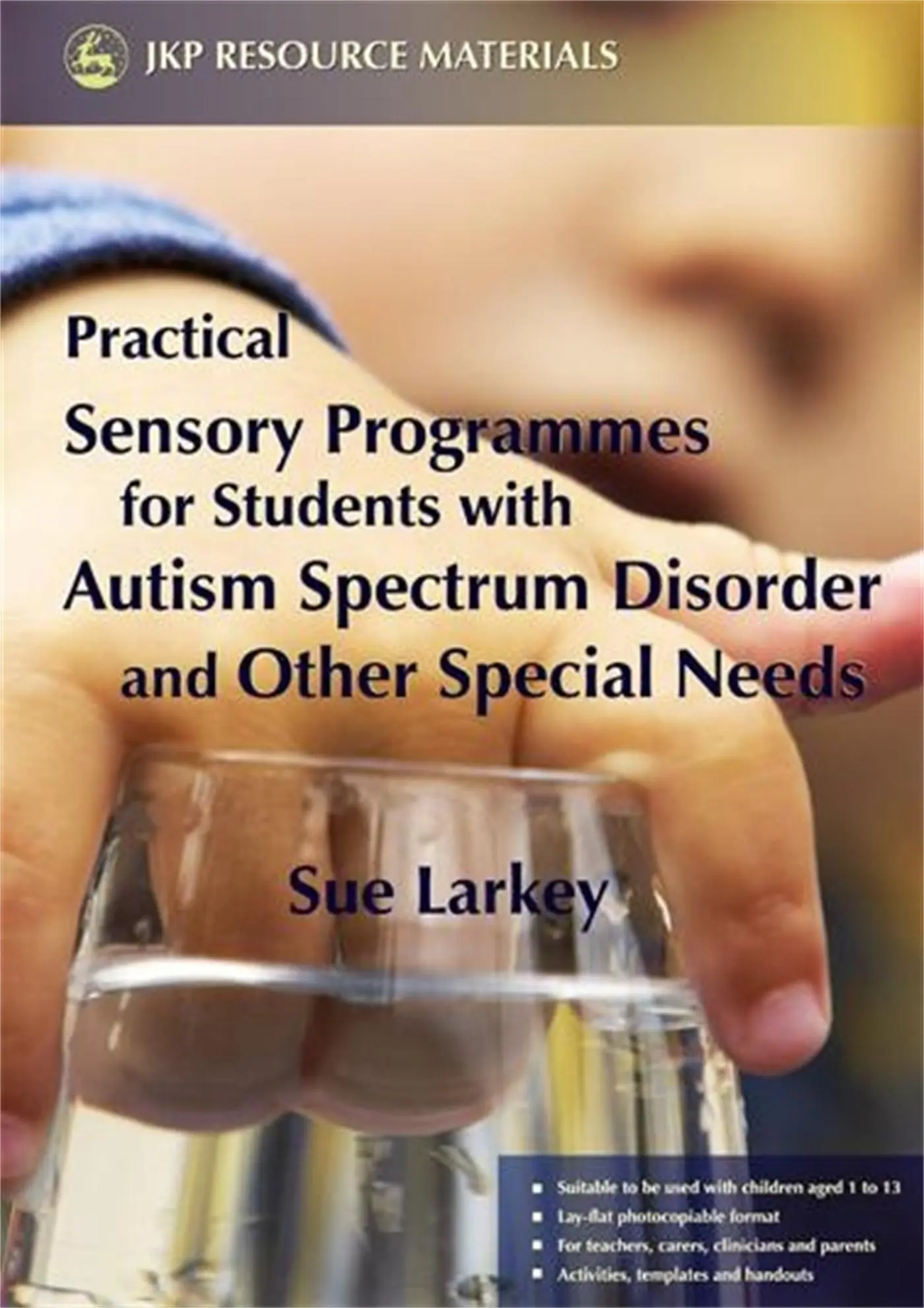 Cover: 9781843104797 | Practical Sensory Programmes | Sue Larkey | Taschenbuch | Englisch