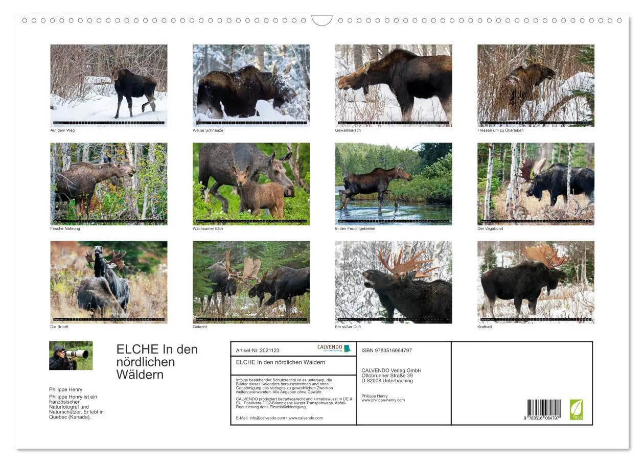 Bild: 9783516064797 | ELCHE In den nördlichen Wäldern (Wandkalender 2026 DIN A2 quer),...
