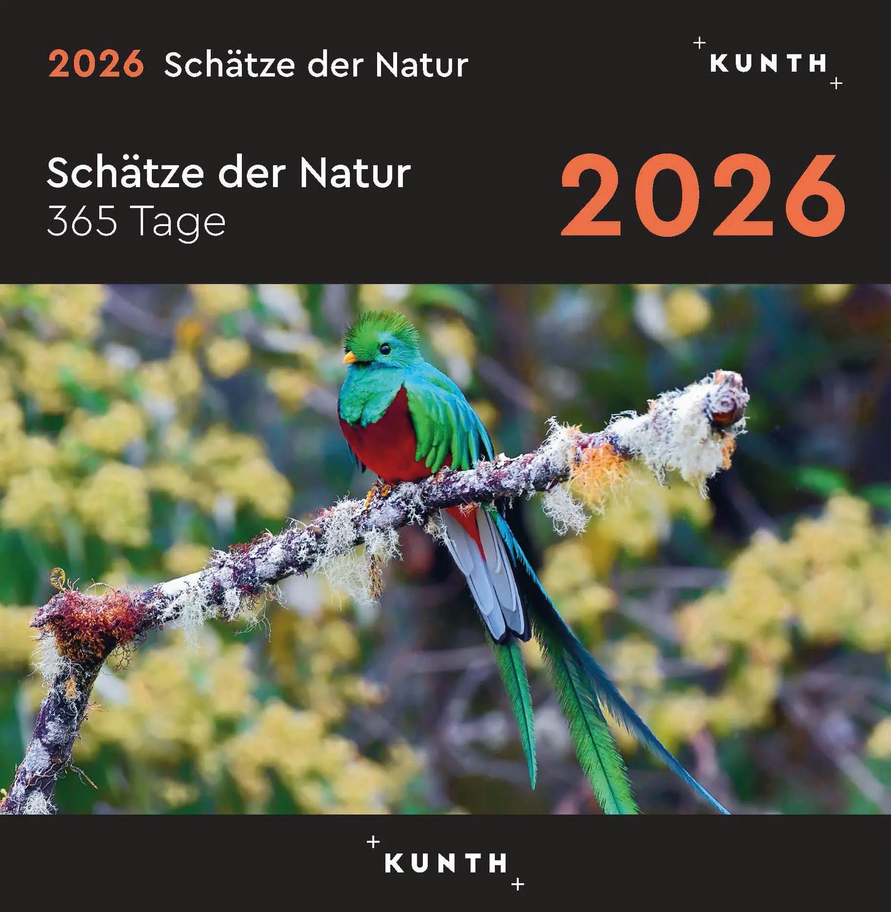 Cover: 9783965914797 | Schätze der Natur - KUNTH 365-Tage-Abreißkalender 2026 | Kalender