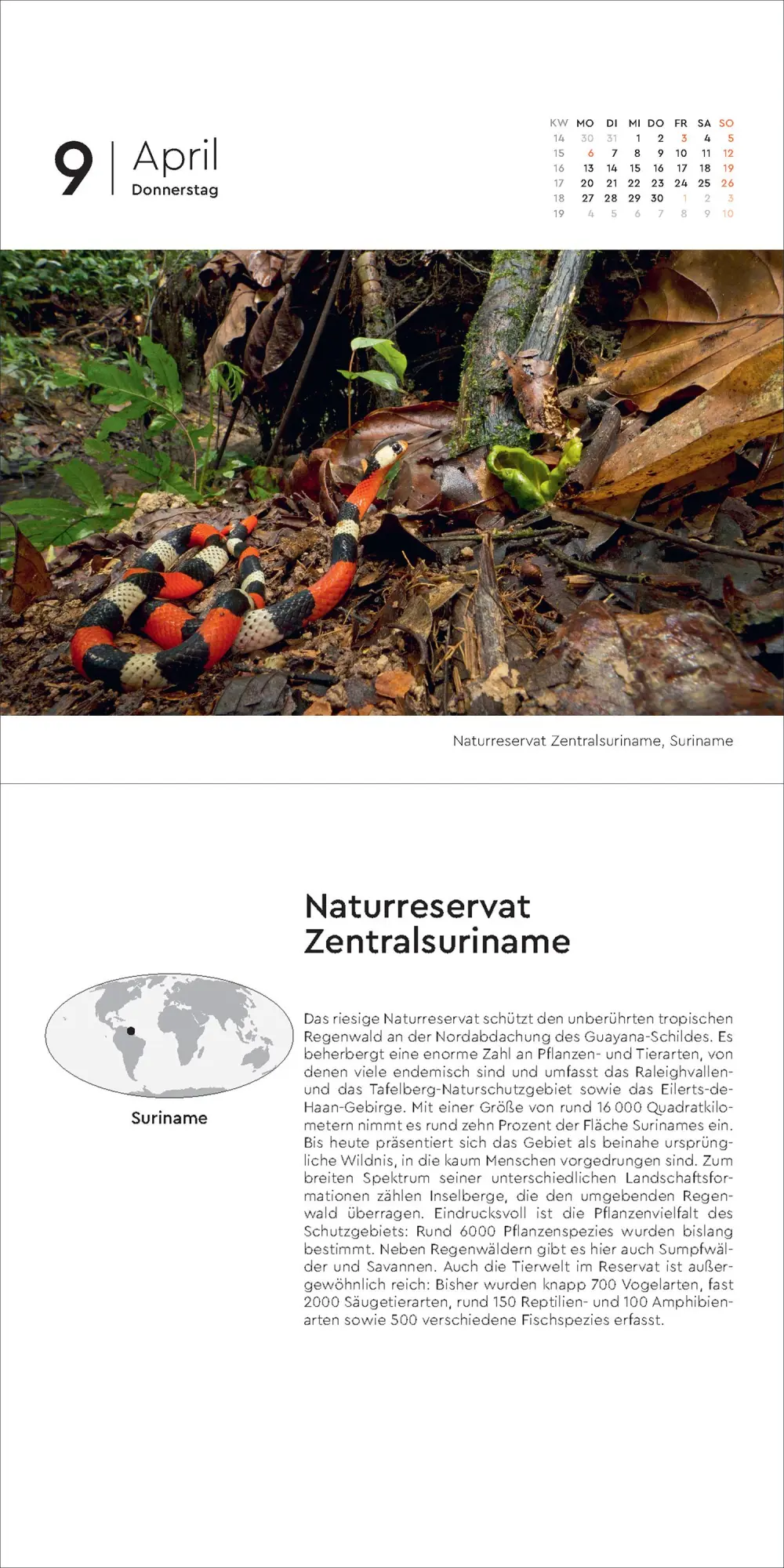 Bild: 9783965914797 | Schätze der Natur - KUNTH 365-Tage-Abreißkalender 2026 | Kalender