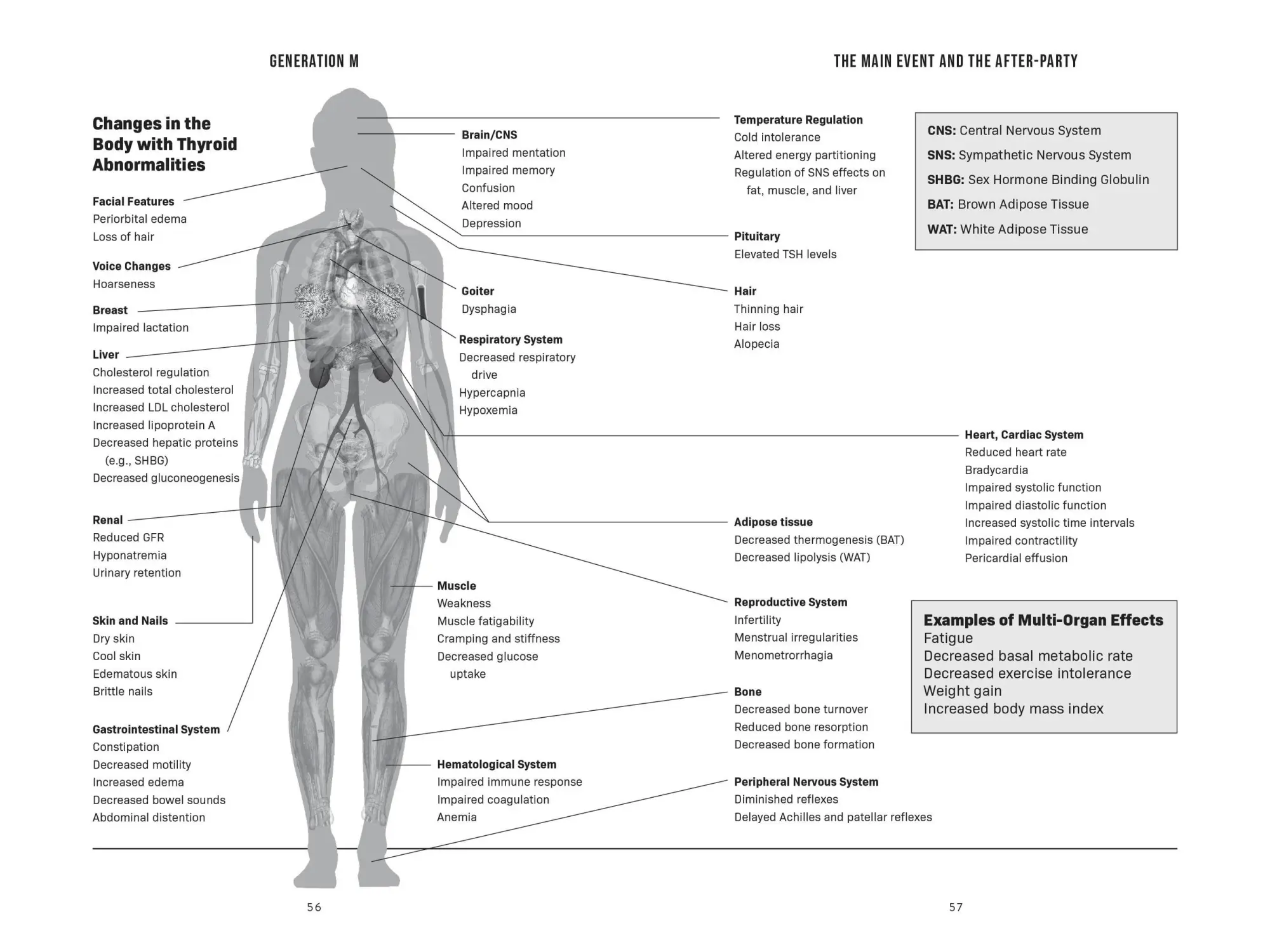 Bild: 9781454954897 | Generation M | Living Well in Perimenopause and Menopause | Shepherd