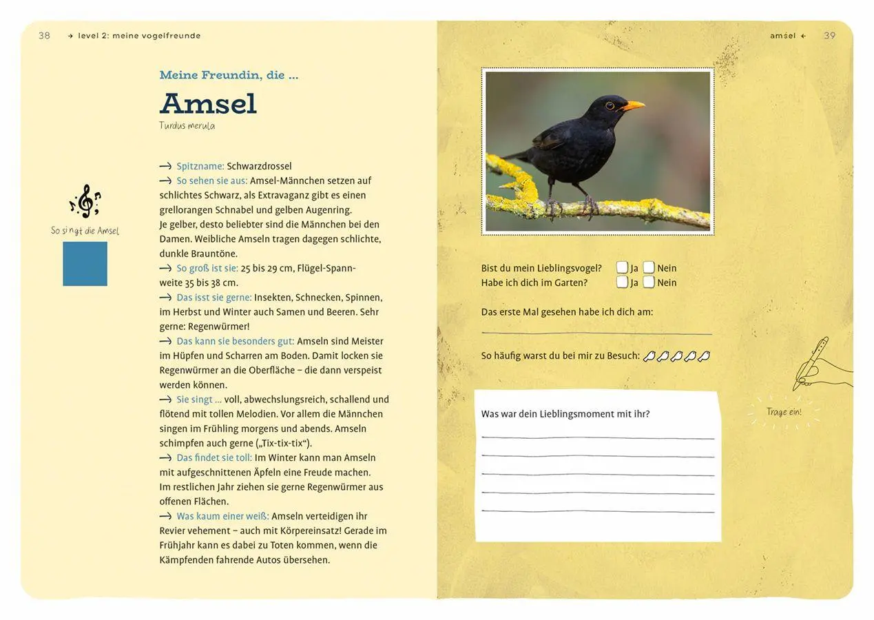 Bild: 9783818624897 | Dein Projekt. Dein Guide. Gartenvögel einladen &amp; verwöhnen | Buch
