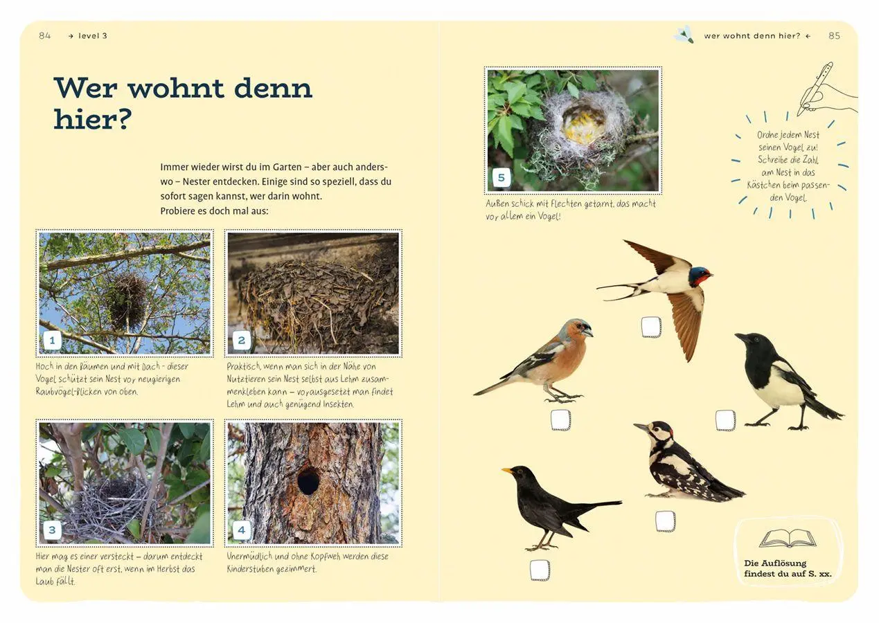 Bild: 9783818624897 | Dein Projekt. Dein Guide. Gartenvögel einladen &amp; verwöhnen | Buch