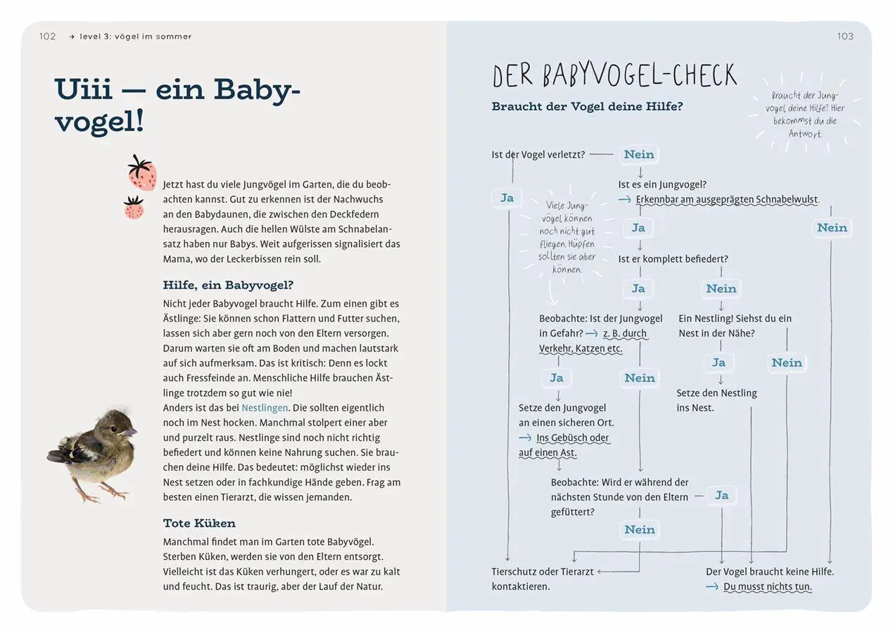 Bild: 9783818624897 | Dein Projekt. Dein Guide. Gartenvögel einladen &amp; verwöhnen | Buch