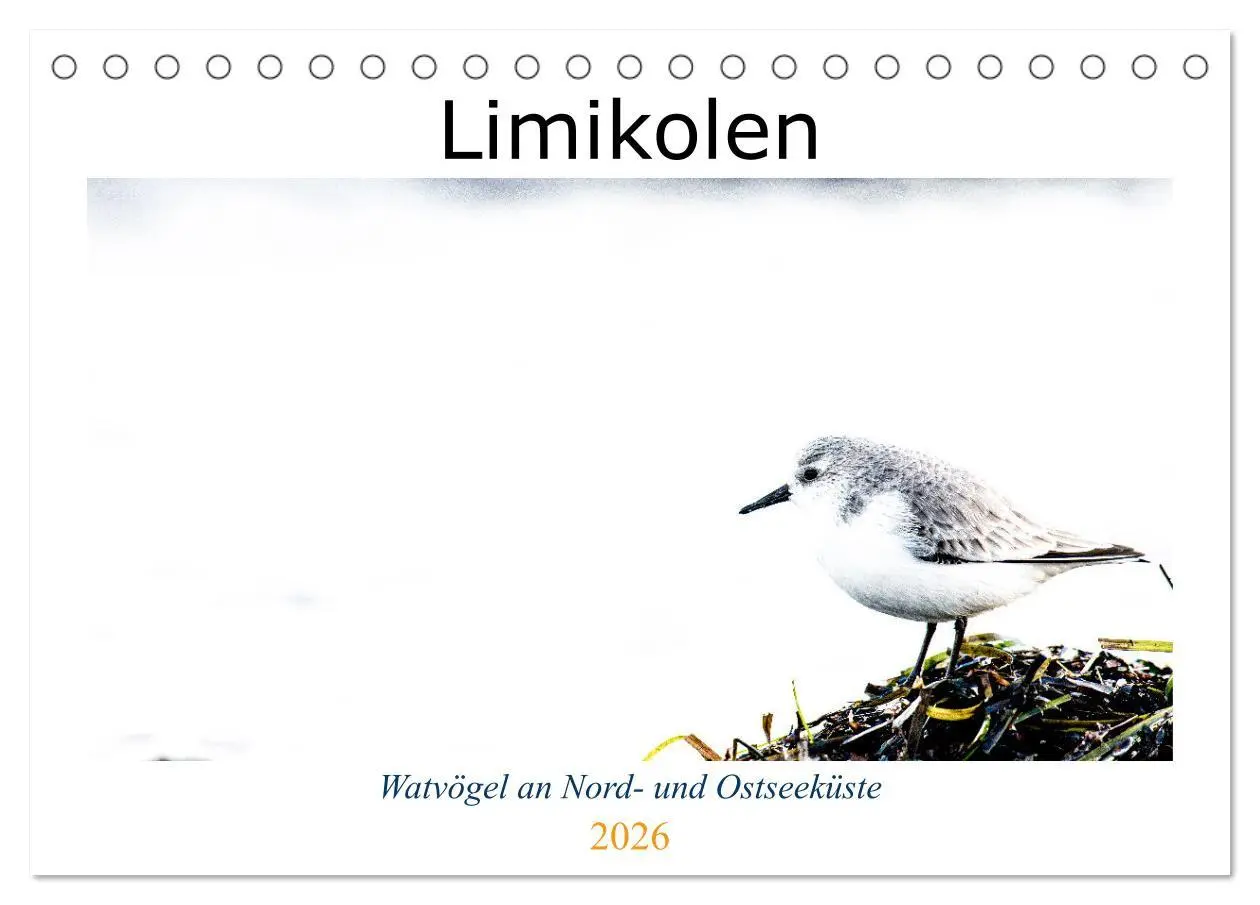 Cover: 9783457644997 | Limikolen - Watvögel an Nord- und Ostseeküste (Tischkalender 2026...