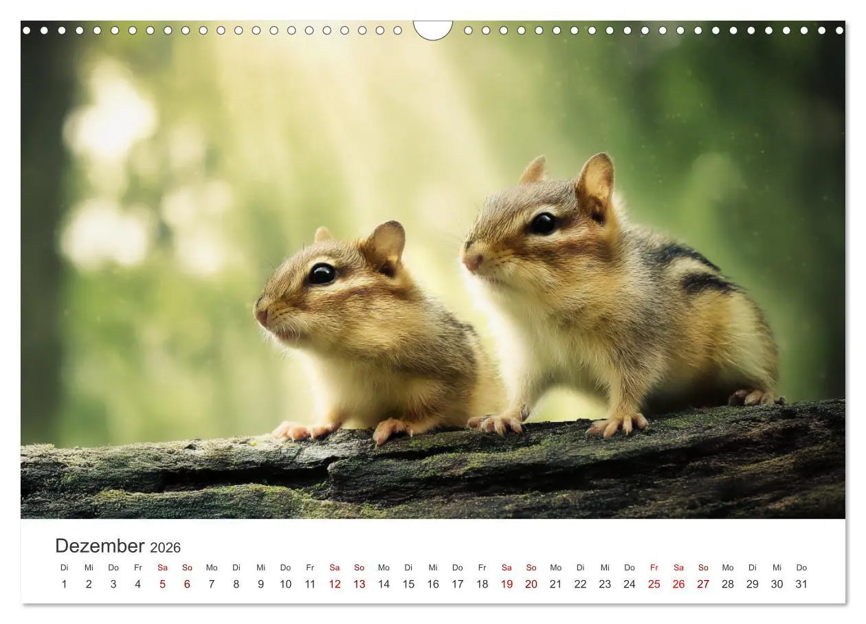 Bild: 9783516284997 | Backen voll - Ein Jahr mit Streifenhörnchen (Wandkalender 2026 DIN...