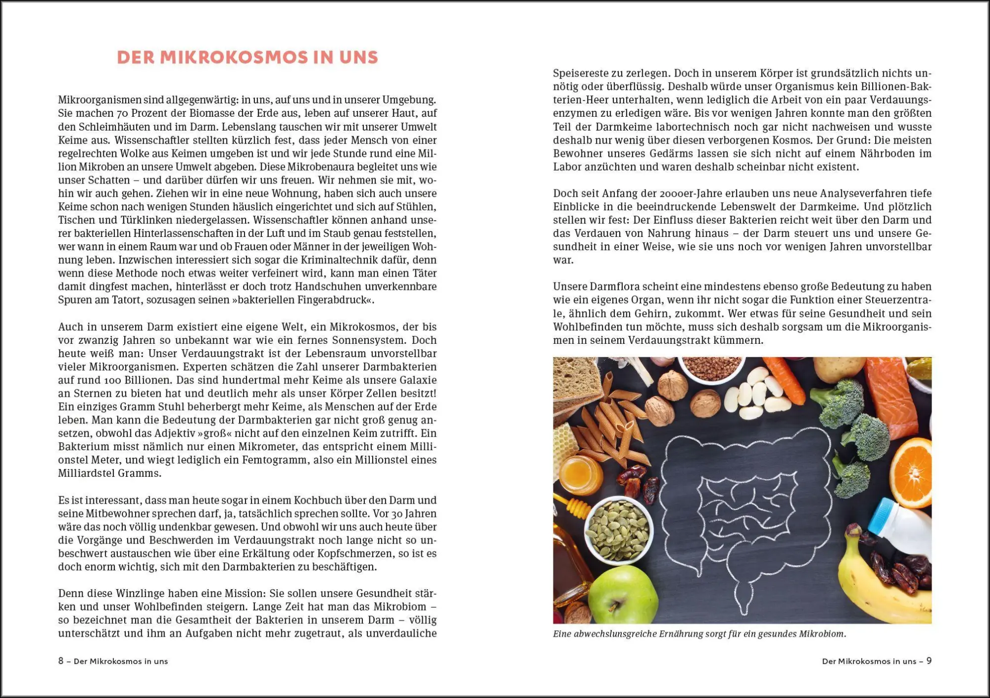 Bild: 9783517104997 | Schlank mit Darm Kochbuch - Aktualisierte Neuausgabe | Axt-Gadermann