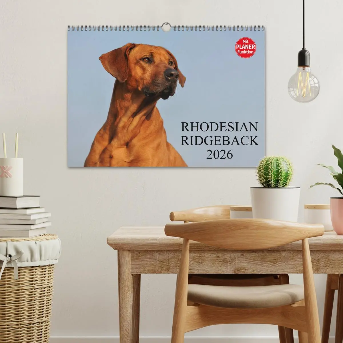 Bild: 9783516005097 | Rhodesian Ridgeback 2026 (Wandkalender 2026 DIN A3 quer), CALVENDO...