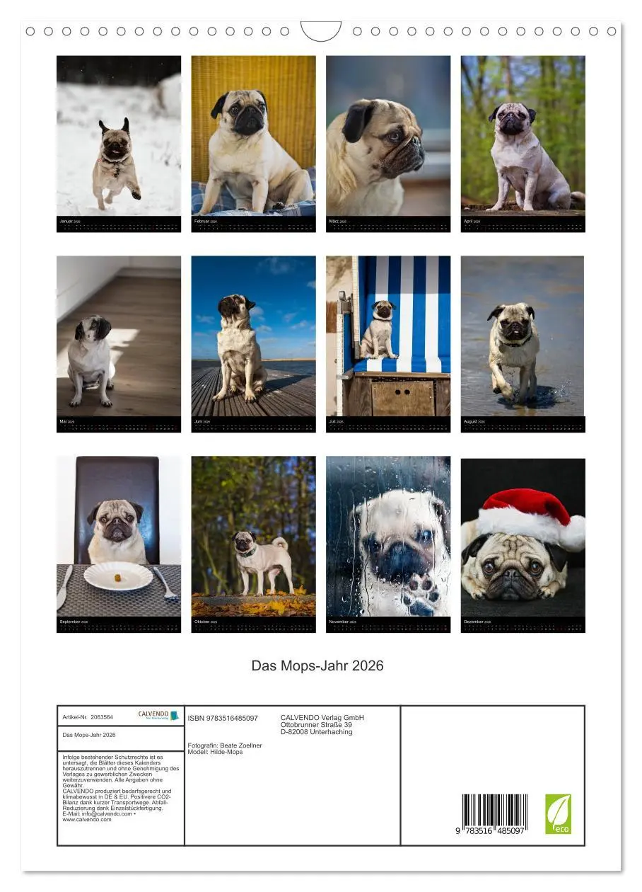 Bild: 9783516485097 | Das Mops-Jahr 2026 (Wandkalender 2026 DIN A3 hoch), CALVENDO...