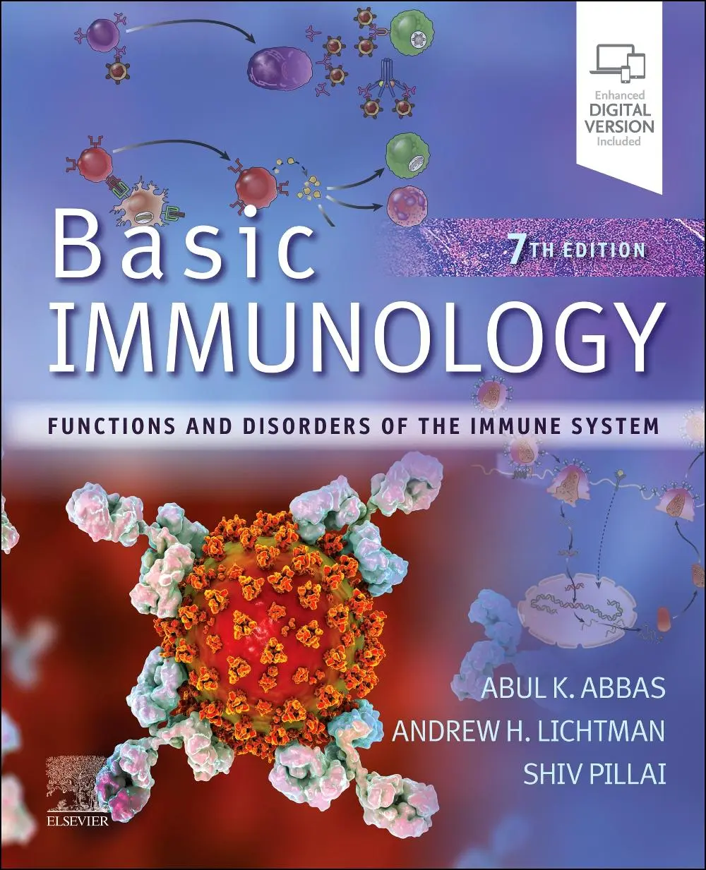 Cover: 9780443105197 | Basic Immunology | Functions and Disorders of the Immune System | Buch