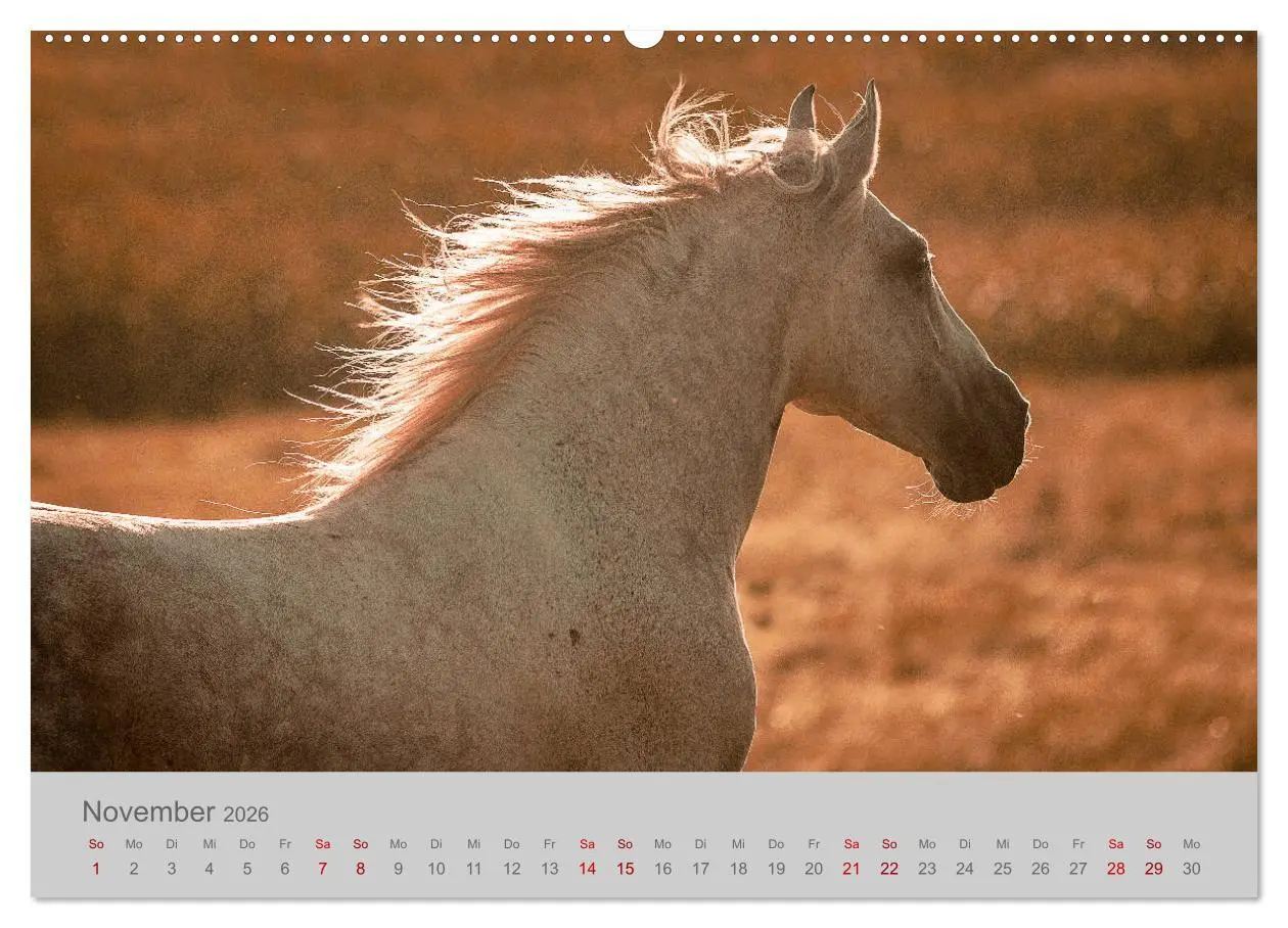 Bild: 9783457755297 | Pferde - Anmut, Eleganz, Magie (hochwertiger Premium Wandkalender...