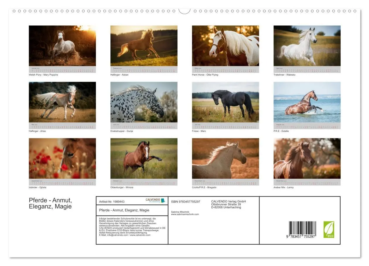 Bild: 9783457755297 | Pferde - Anmut, Eleganz, Magie (hochwertiger Premium Wandkalender...