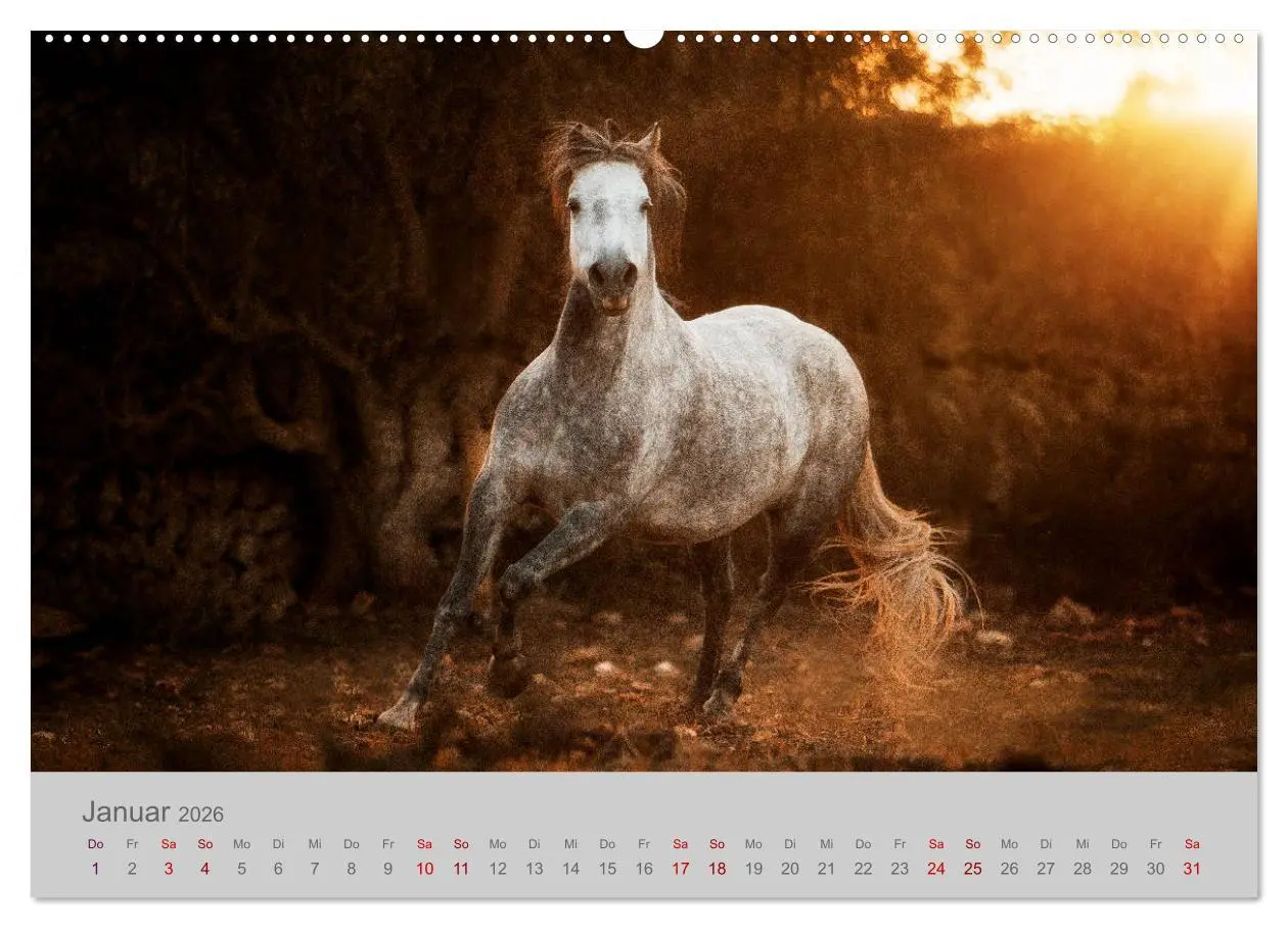 Bild: 9783457755297 | Pferde - Anmut, Eleganz, Magie (hochwertiger Premium Wandkalender...