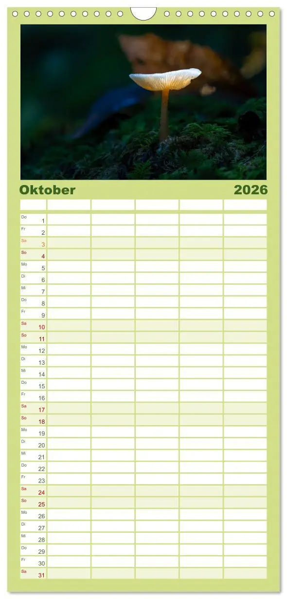 Bild: 9783516605297 | Familienplaner 2026 - Wilde Pilze: Ein Kalender für...