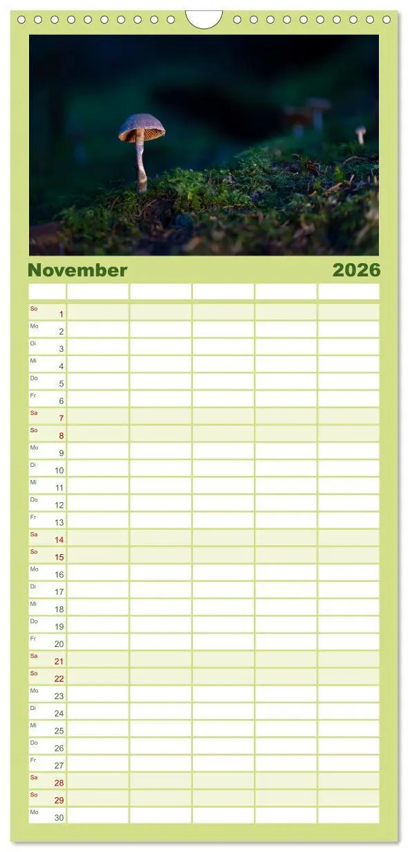 Bild: 9783516605297 | Familienplaner 2026 - Wilde Pilze: Ein Kalender für...