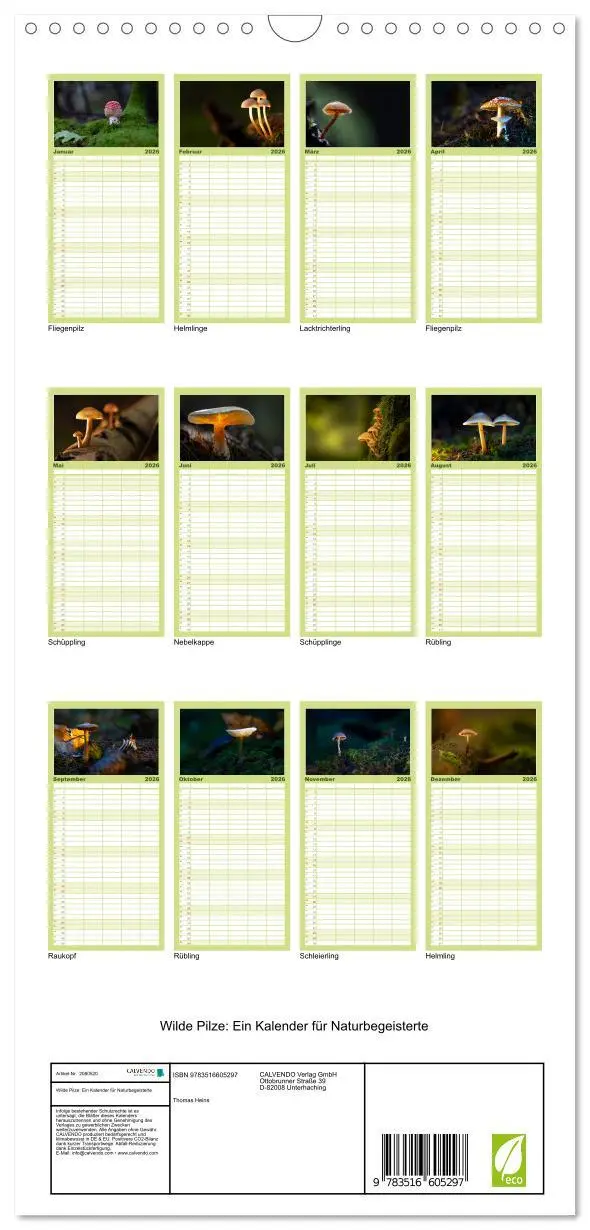 Bild: 9783516605297 | Familienplaner 2026 - Wilde Pilze: Ein Kalender für...