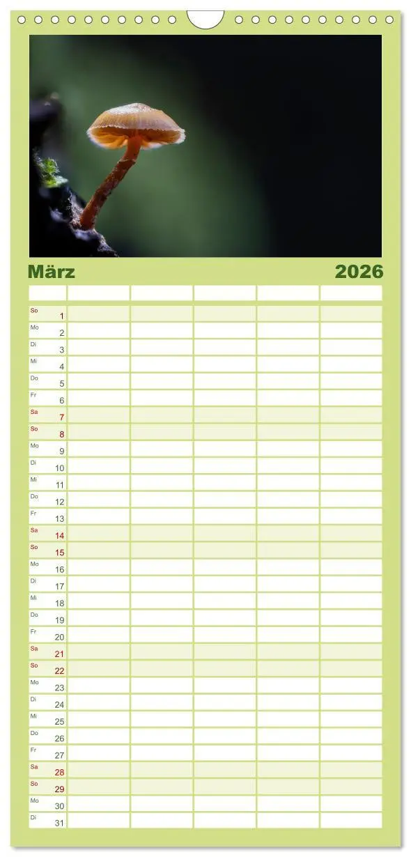 Bild: 9783516605297 | Familienplaner 2026 - Wilde Pilze: Ein Kalender für...