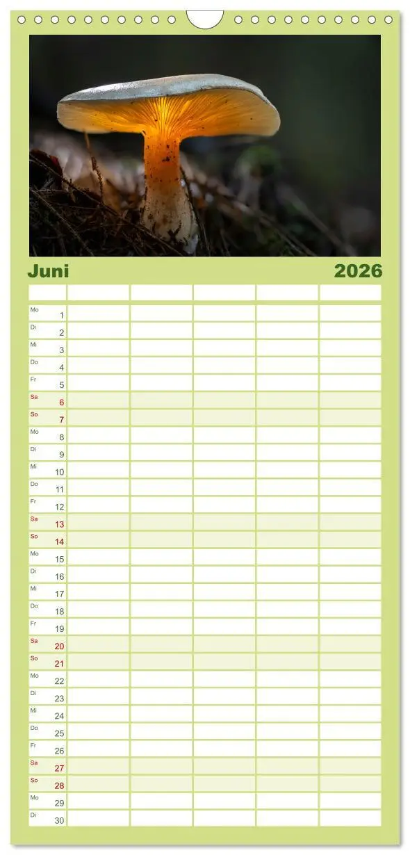 Bild: 9783516605297 | Familienplaner 2026 - Wilde Pilze: Ein Kalender für...