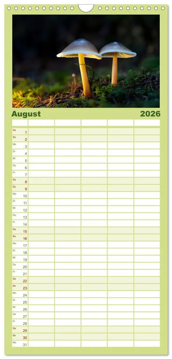 Bild: 9783516605297 | Familienplaner 2026 - Wilde Pilze: Ein Kalender für...