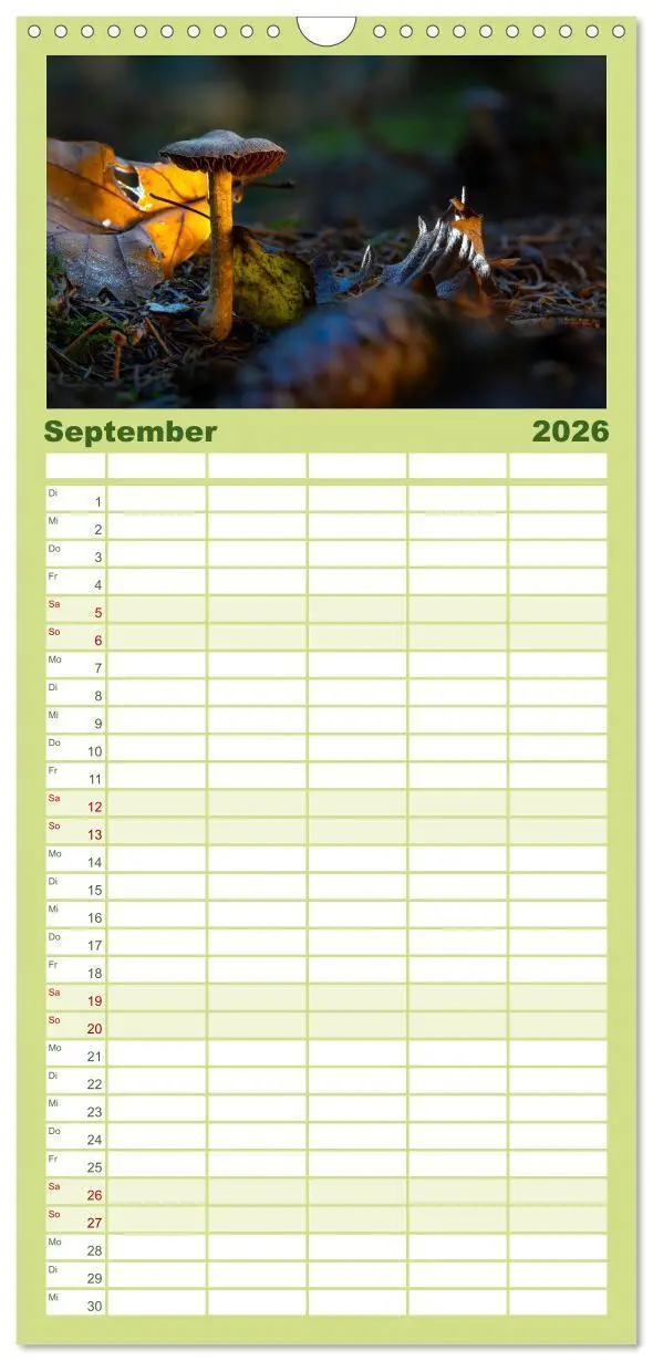 Bild: 9783516605297 | Familienplaner 2026 - Wilde Pilze: Ein Kalender für...