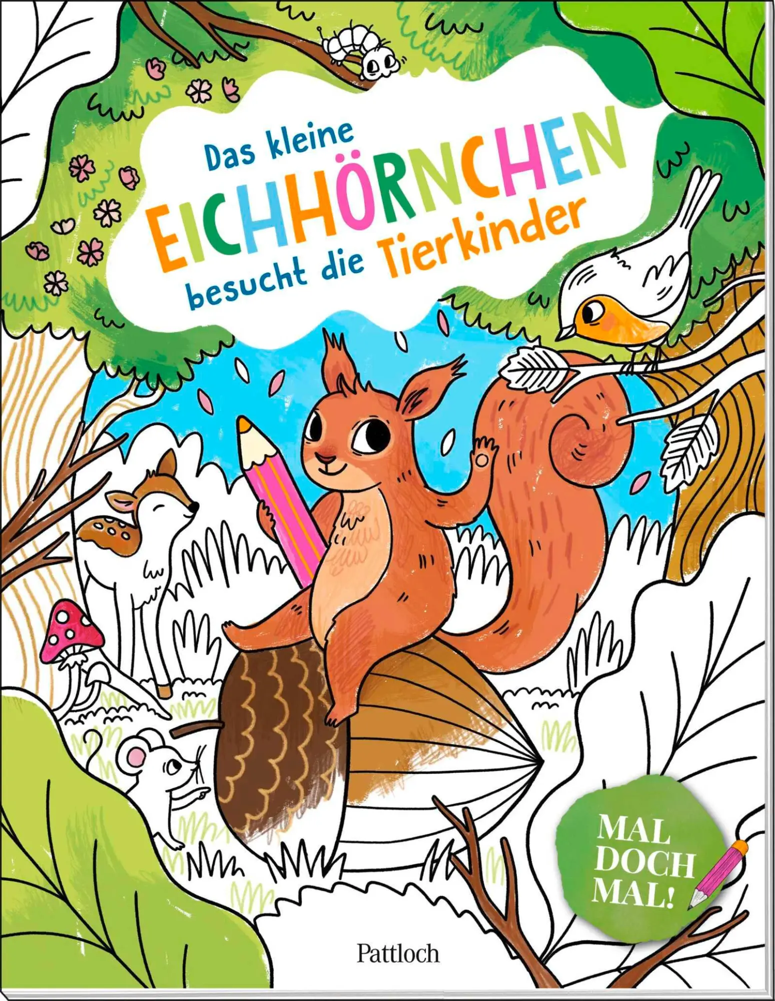 Cover: 9783629015297 | Mal doch mal! - Das kleine Eichhörnchen besucht die Tierkinder | Buch