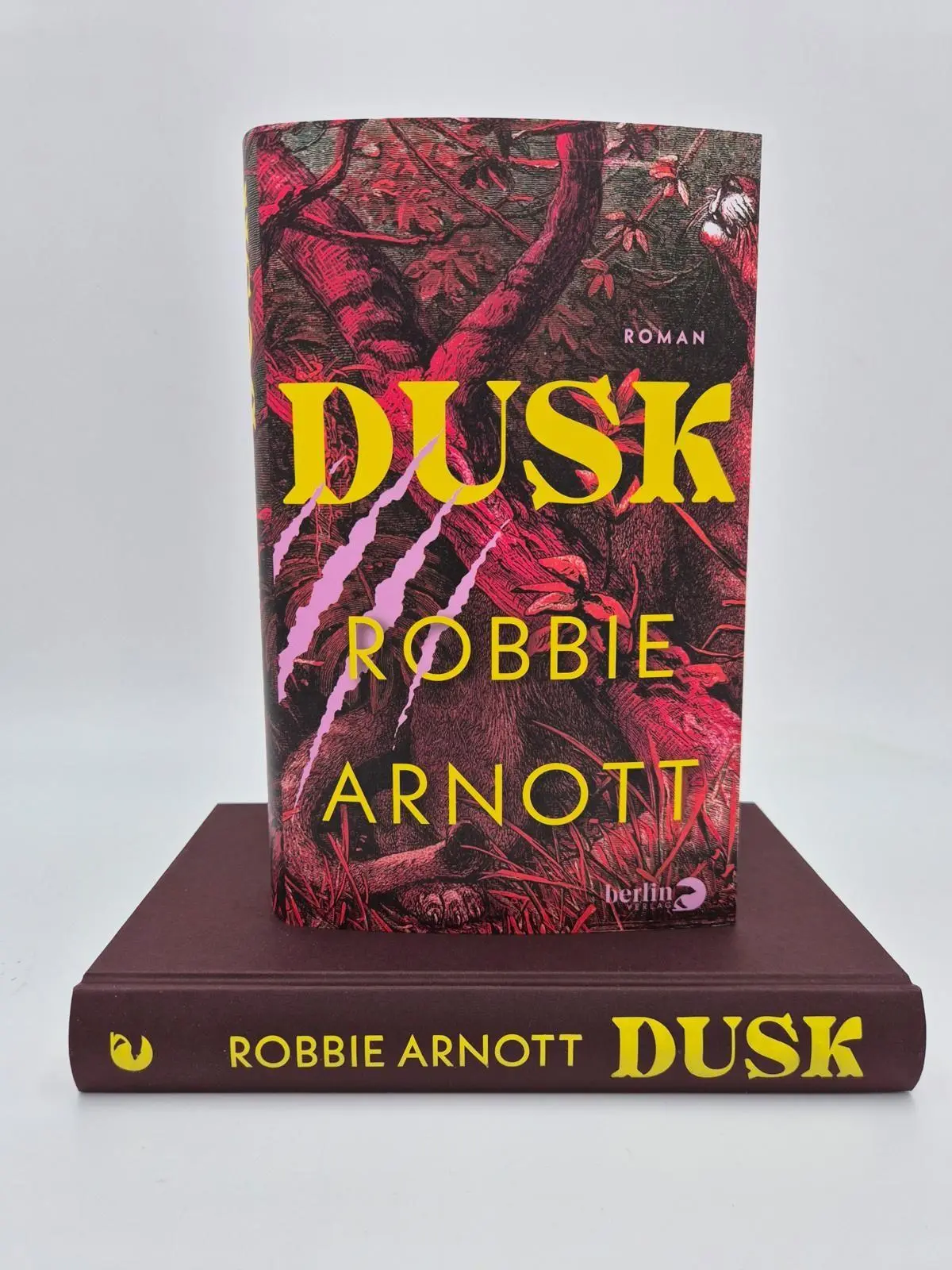 Bild: 9783827015297 | Dusk | Roman Vom Autor von 'Limberlost' | Robbie Arnott | Buch | 2026