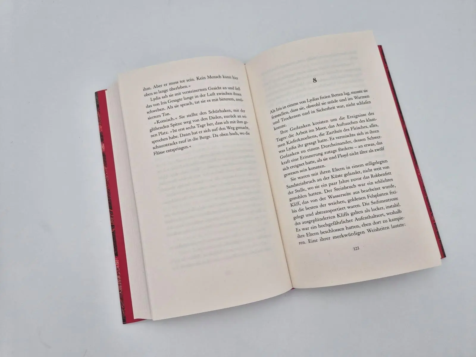 Bild: 9783827015297 | Dusk | Roman Vom Autor von 'Limberlost' | Robbie Arnott | Buch | 2026