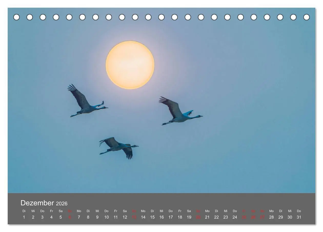 Bild: 9783457815397 | Schönes Meck-Pomm (Tischkalender 2026 DIN A5 quer), CALVENDO...