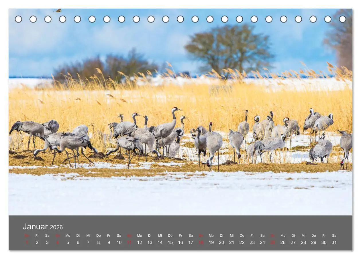 Bild: 9783457815397 | Schönes Meck-Pomm (Tischkalender 2026 DIN A5 quer), CALVENDO...