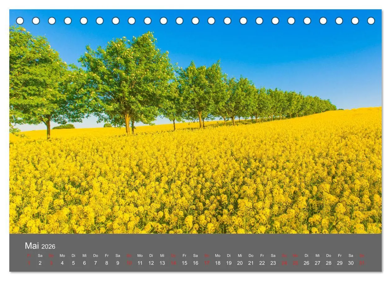 Bild: 9783457815397 | Schönes Meck-Pomm (Tischkalender 2026 DIN A5 quer), CALVENDO...