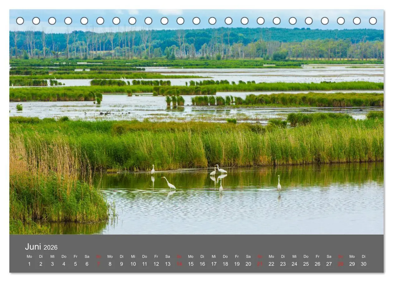 Bild: 9783457815397 | Schönes Meck-Pomm (Tischkalender 2026 DIN A5 quer), CALVENDO...