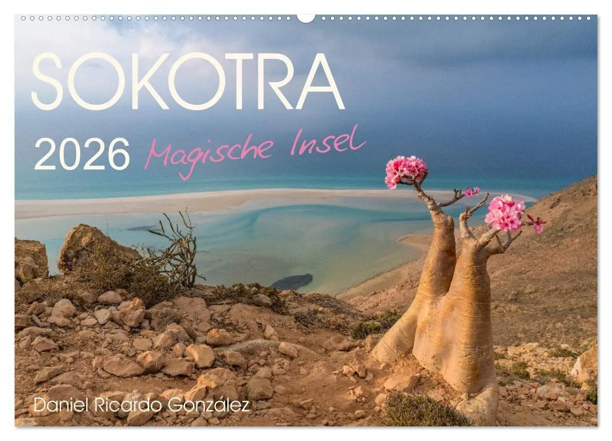 Cover: 9783516695397 | SOKOTRA - Magische Insel (Wandkalender 2026 DIN A2 quer), CALVENDO...
