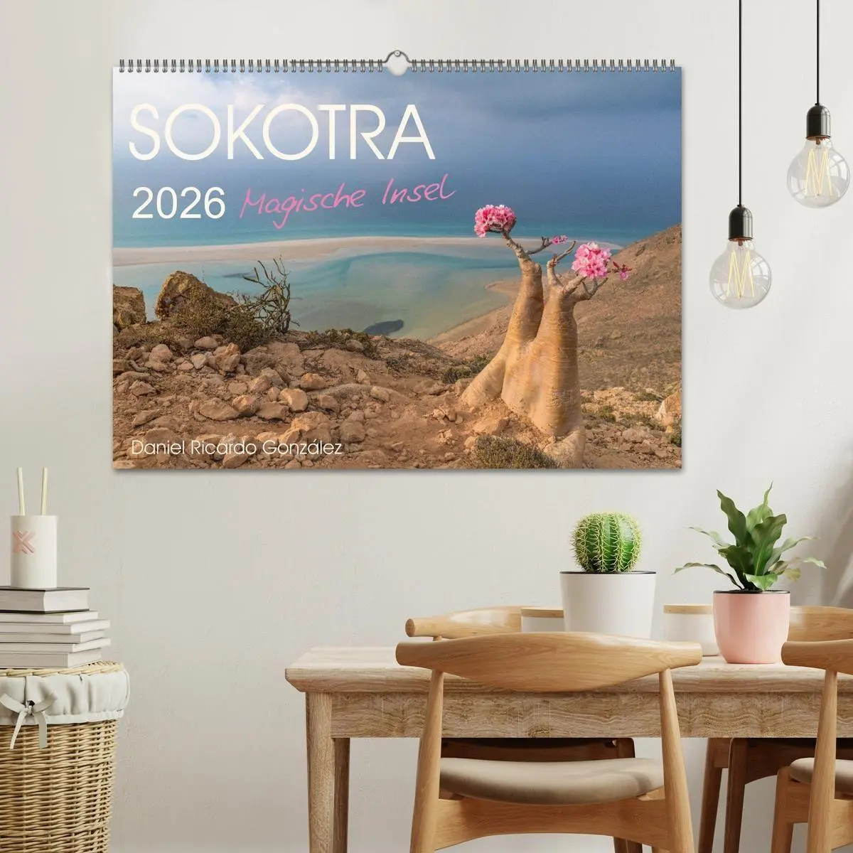 Bild: 9783516695397 | SOKOTRA - Magische Insel (Wandkalender 2026 DIN A2 quer), CALVENDO...
